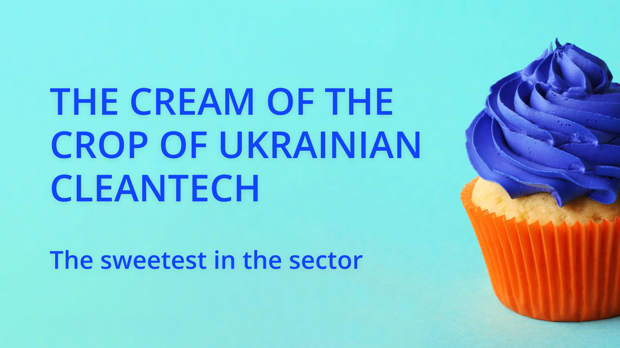 Success stories of Ukrainian cleantech